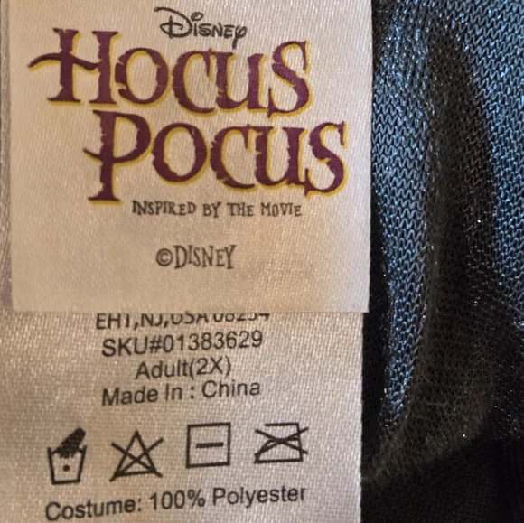 Disney Hocus Pocus Winifred Sanderson Cosplay Costume Dress Adult Womens 2X - Picture 7 of 8